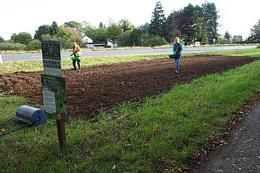 Gärtner arbeiten mit Werkzeugen in einem Garten, während ein Auto im Hintergrund fährt.