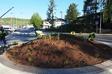 Gärtner pflanzen Rasen auf einem begrünten Kreisverkehr mit Baumaterialien.
