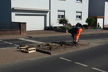 Gärtner pflegt einen Blumenbeet an einer gepflasterten Einfahrt.