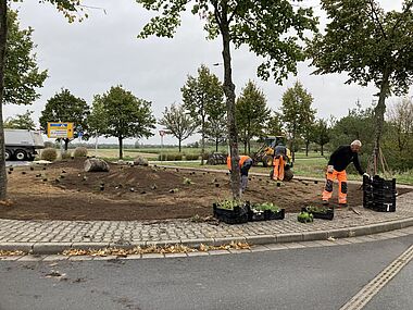 Gärtner pflanzen Rasen auf einem vorbereiteten Gelände mit Baumaschinen im Hintergrund.