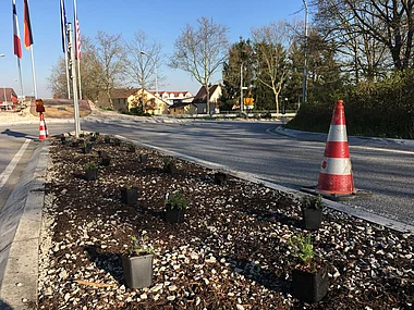 Baustellenbereich mit neu angelegten Grünflächen und Verkehrskegeln.