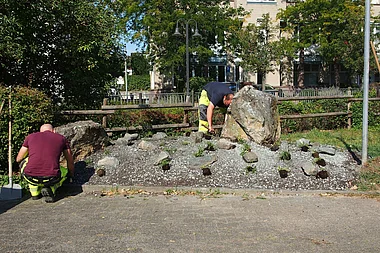 Gärtner arbeiten an einer Hangbefestigung mit Steinen und Pflanzsubstrat.