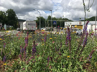 Parkplatz mit Blumenbeeten und Gebäuden im Hintergrund.